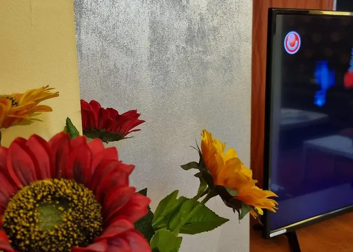 My House - Ultracentral Romana Square Near Old Town *