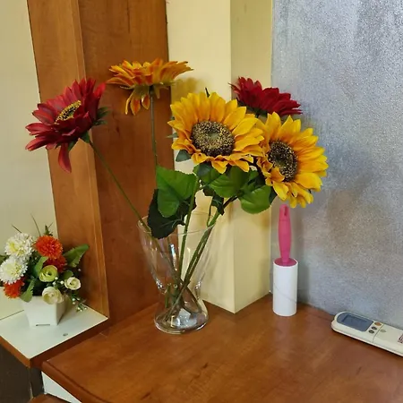 My House - Ultracentral Romana Square Near Old Town *